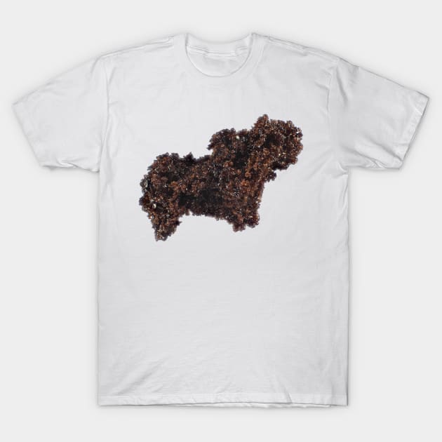 Instant coffee isolated on white background, light micrograph T-Shirt by SDym Photography